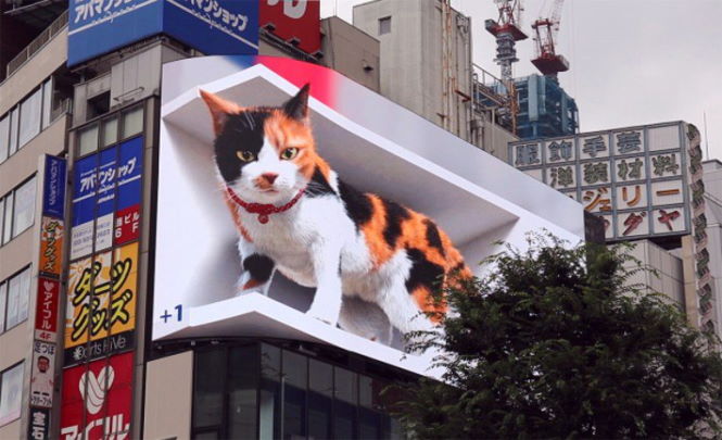 Гигантский 3D-кот на улицах Токио
