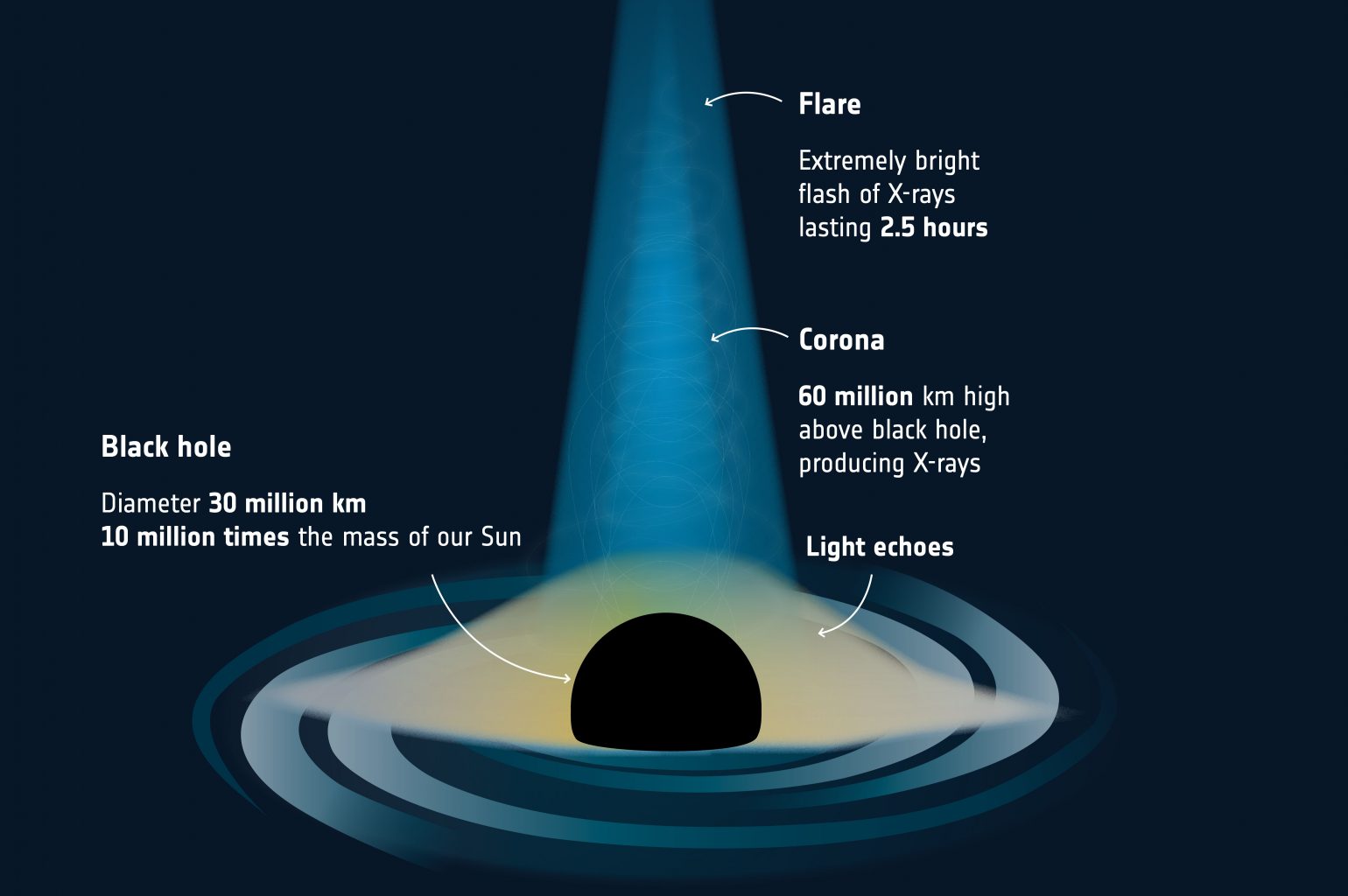 На диаграмме показана корона черной дыры, производящая рентгеновские вспышки, и их свет. "эхо" отражается от аккреционного диска. Предоставлено: ESA.