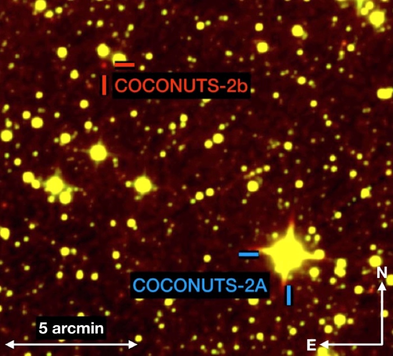 Прямой снимок звезды КОКОСЫ-2 и экзопланеты КОКОСЫ-2b. Кредит: Чжан и др., 2021 г.
