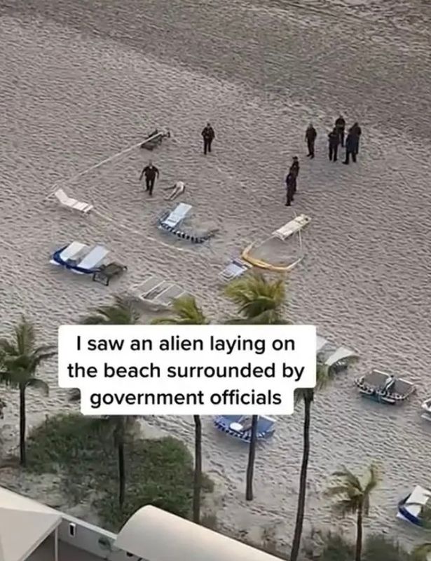Сторонник теории заговора утверждает, что инопланетянин был окружен правительственными чиновниками на пляже.