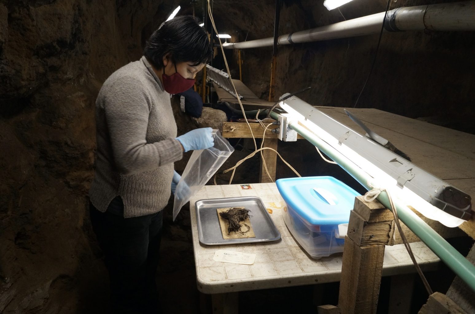 Археологи осматривают букеты в тоннеле. Предоставлено: La Jornada.