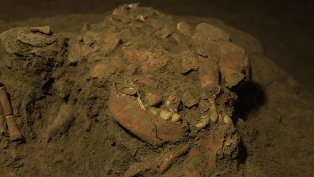 Ученые обнаружили «новый вид» древнего человека