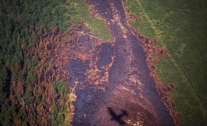 Лесные пожары в Сибири больше, чем все остальные пожары в мире вместе взятые
