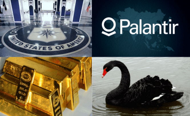 Компания Palantir, партнер и консультант ЦРУ, готовится к «событию черного лебедя».