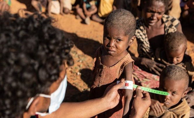 Мадагаскар на грани массового голода