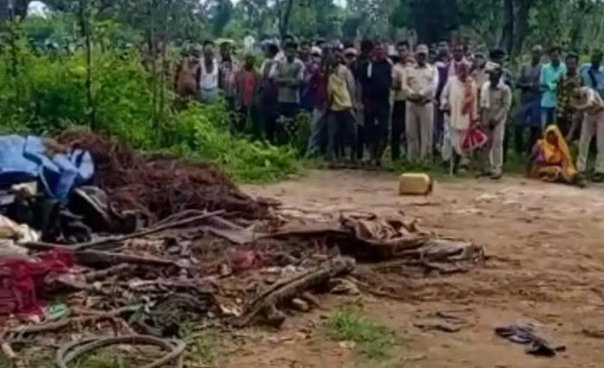Дикие слоны напали на деревню в Индии