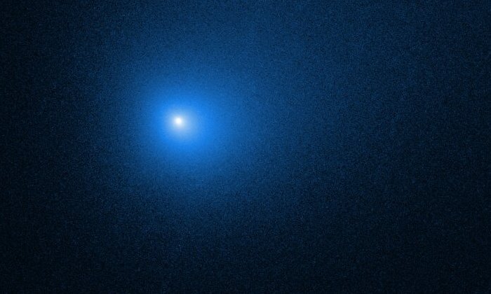 Обнаруженная в 2019 году комета Борисова стала первой межзвездной кометой, прошедшей через нашу Солнечную систему. Предоставлено: НАСА, ЕКА и Д. Джевитт (Калифорнийский университет в Лос-Анджелесе).