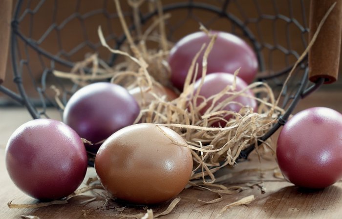 Ученые наконец-то решили древнее универсальное уравнение формы яйца