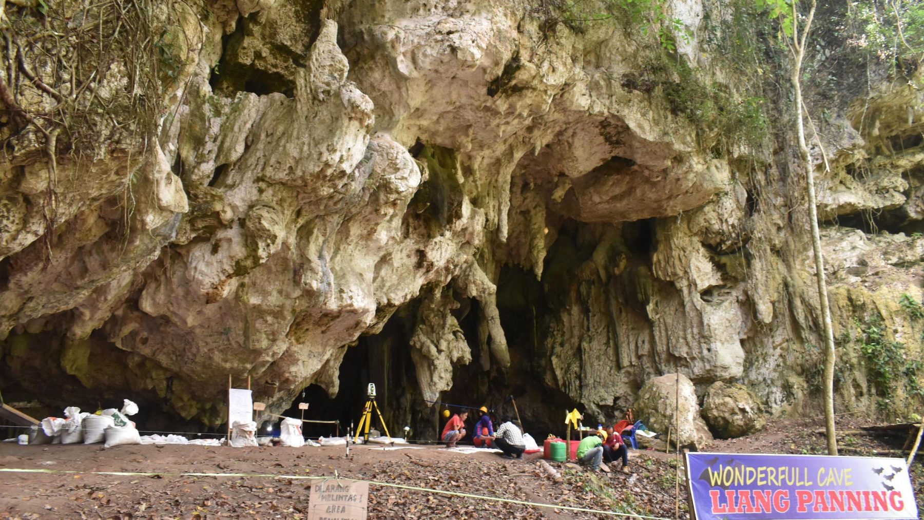Вход в пещеру Паннинге, где ученые обнаружили новый геном человека. Предоставлено: исследовательский проект Леанг Паннинге.