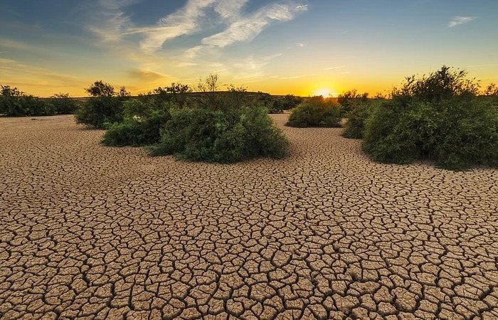 В Европе усиливается засуха - новое исследование