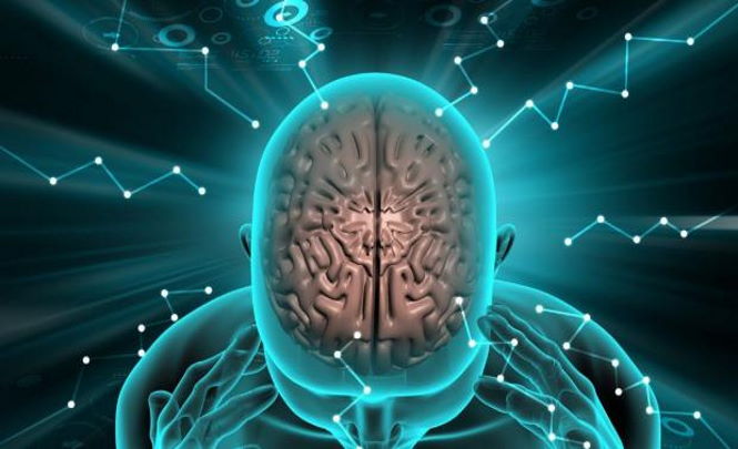 Ученые выявили способность мозга к предсказанию будущего