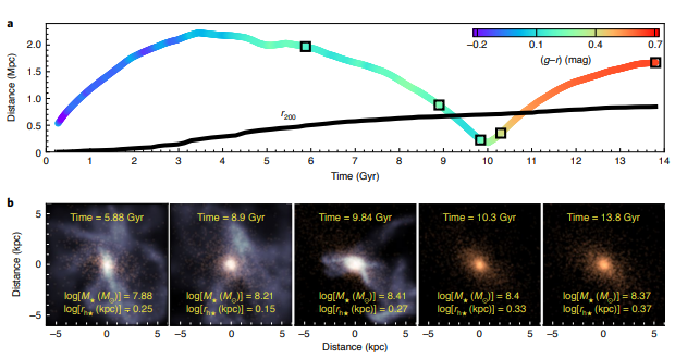 Вверху: схема сближения ультрадиффузной галактики со скоплением и последующего исчезновения звездообразования. Время отображается по горизонтали, а расстояние до центра кластера - по вертикали. Черная сплошная линия показывает размер кластера. Внизу: схематические изображения газа (показаны синим цветом) и звезд (показаны красным) в ультрадиффузной галактике на разных этапах ее эволюции. Предоставлено: Хосе Бенавидес и др. / Nature Astronomy Letters, 2021 г.