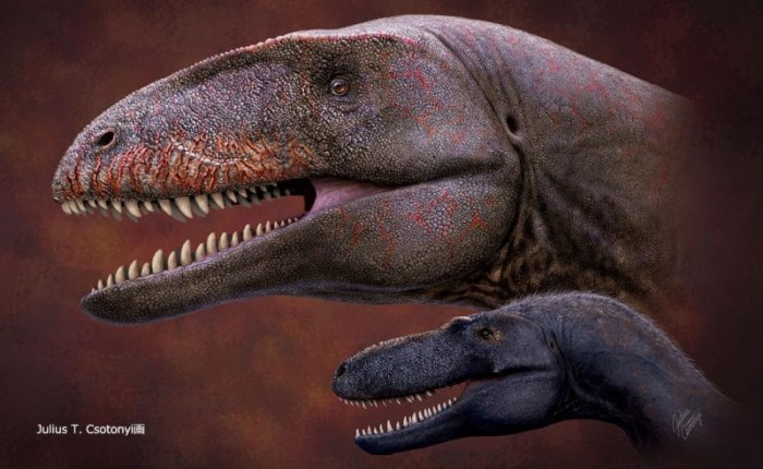 Кто был королем до тиранозавра?  Выявлены новые ископаемые останки динозавров
