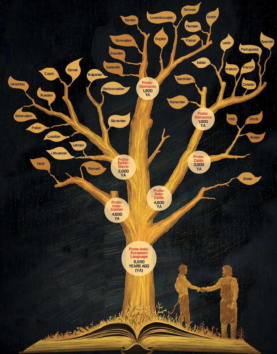 Почему человеческие языки можно сравнить с ветвями на дереве и помочь найти единого общего предка