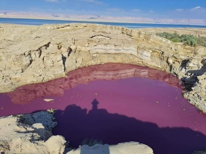 Вода в озере «таинственным образом» стала красной у Мертвого моря в Иордании 4
