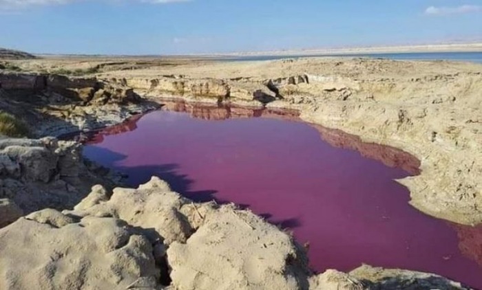 Вода в озере «таинственным образом» стала красной у Мертвого моря в Иордании 3