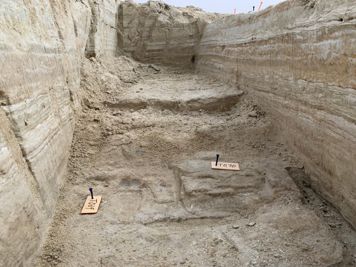 Древние человеческие следы обнаружены в траншее на этом месте. Предоставлено: Служба национальных парков / Геологическая служба США / Борнмутский университет.