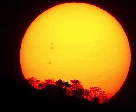 Солнечное пятно AR2866 быстро увеличивается и астрономов это немного пугает.