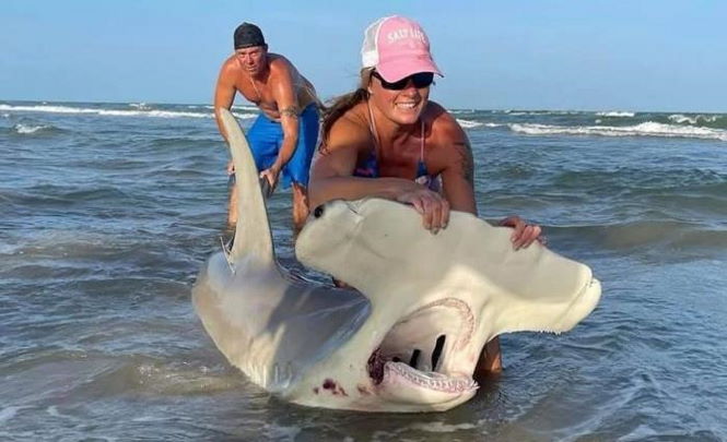 Женщина поймала огромную акулу-молот на удочку