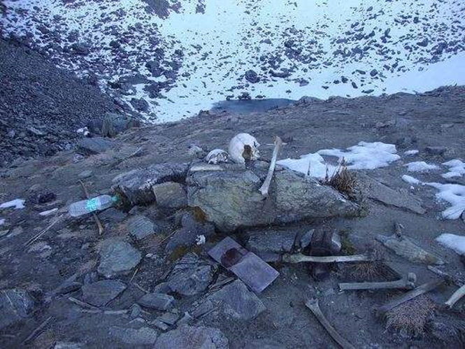 Озеро Роопкунд со скелетами в Гималаях — настоящая загадка