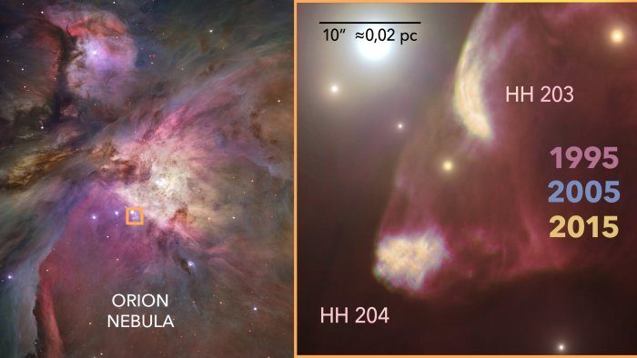 На левой панели показана туманность Ориона, наблюдаемая с помощью космического телескопа Хаббла, с выделением области вокруг HH204. На правой панели мы можем подробно увидеть структуру HH204 и его очевидного компаньона, HH203. На этой панели изображения космического телескопа Хаббла, сделанные в течение 20 лет и искусственно выделенные разными цветами, показывают продвижение струй газа через туманность Ориона. Предоставлено: Габриэль Перес Диас, SMM (IAC).