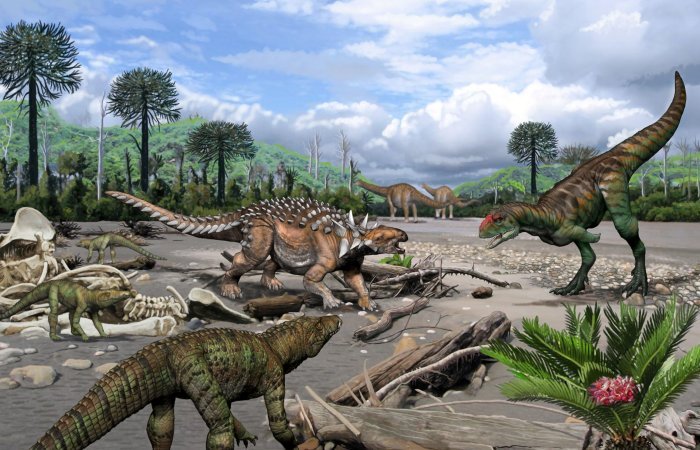 Древние зубы выявили удивительное разнообразие рептилий мелового периода на ископаемом месте в Аргентине