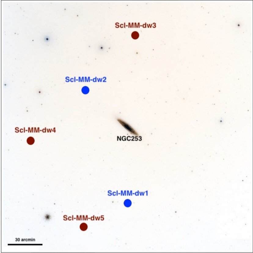 Область вокруг галактики NGC 253, исследованная в рамках программы PISCeS. Снимок из обзора DSS. Ранее открытые карликовые галактики отмечены синими кружками, новые - красными. Предоставлено: Бурчин Мутлу-Пакдил и др. / arXiv.org