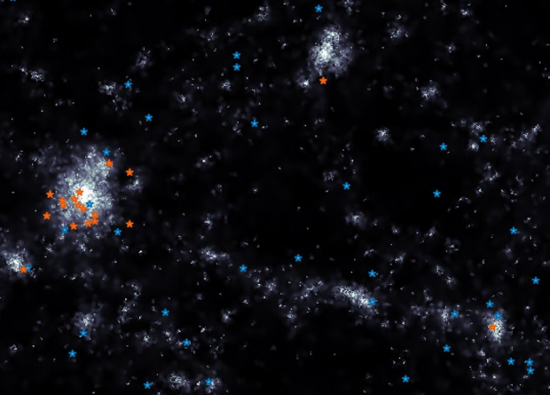 Распределение звездообразующих (синие звездочки) и потухших (красные звездочки) ультрадиффузных галактик в моделированном объеме (размеры по каждой оси порядка десятков мегапарсек). Общая структура Галактики показана в оттенках серого. Предоставлено: Хосе Бенавидес и др. / Nature Astronomy Letters, 2021 г.