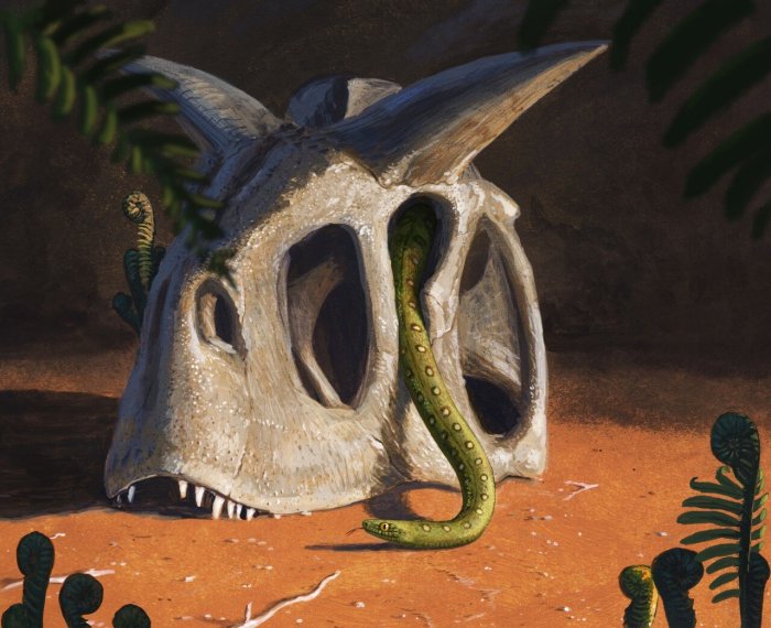 Современные змеи произошли от нескольких выживших после гибели динозавров астероида