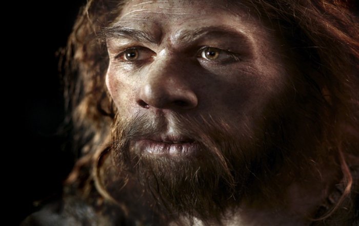 Ученые выяснили, как неандертальцы ловили птиц в пещерах ради еды