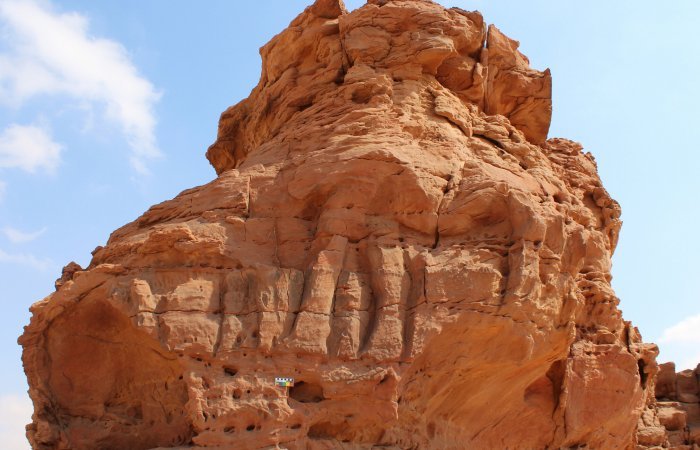 Уникальные изображения верблюдов в натуральную величину в Северной Аравии намного старше, чем считалось ранее