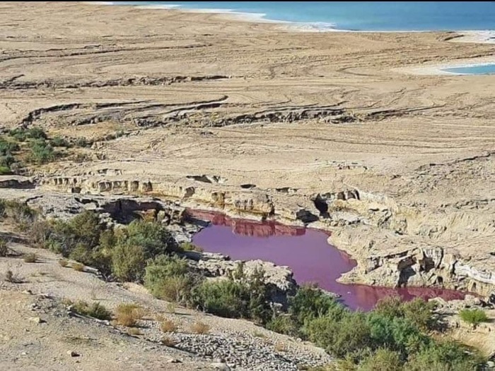 Вода в озере «таинственным образом» стала красной у Мертвого моря в Иордании 2