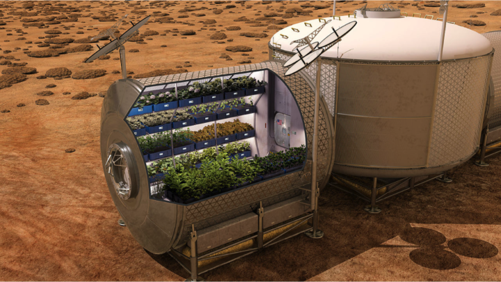 Как симбиотические бактерии помогут выращивать растения на Марсе