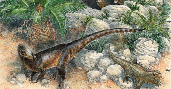 Исследователи нашли в Великобритании редкого динозавра-дракона размером с курицу 