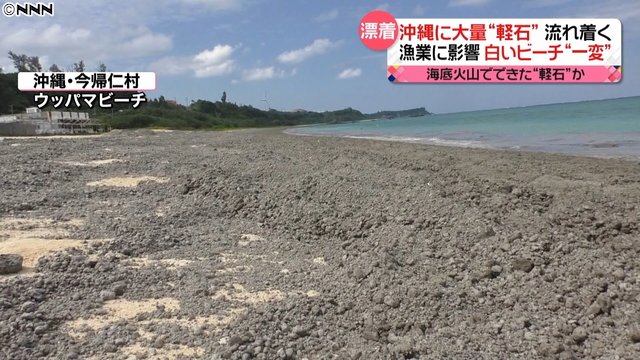 Вулканическая пемза остановит АЭС в Японии