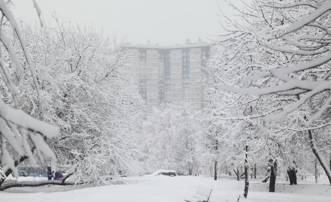 Метеоролог назвал дату наступления устойчивой зимы в России