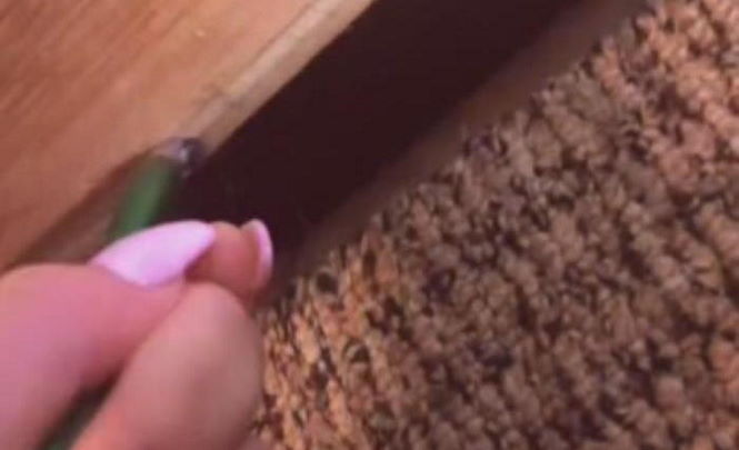 Женщина нашла тайную комнату под кроватью номера