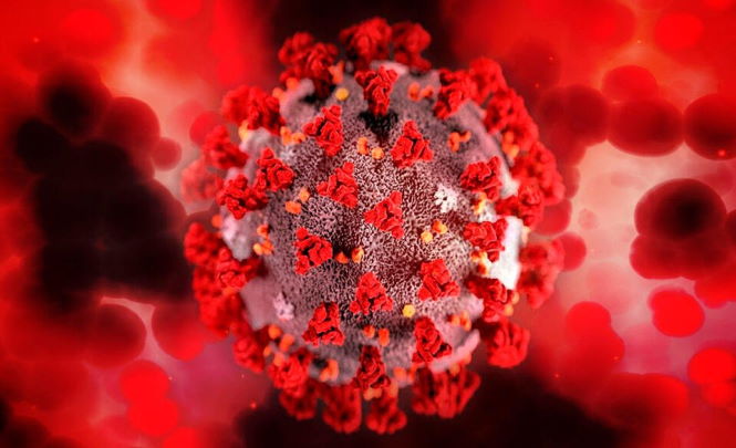 Новая мутация коронавируса обнаружена в Москве и Подмосковье