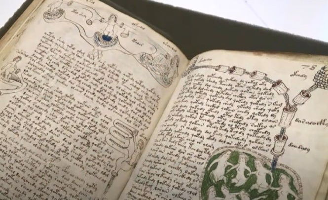 Самая загадочная книга в мире: о чем написано в манускрипте Войнича?