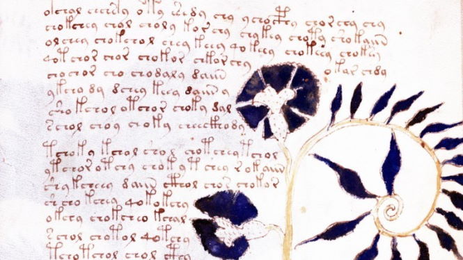 Самая загадочная книга в мире: о чем написано в манускрипте Войнича?