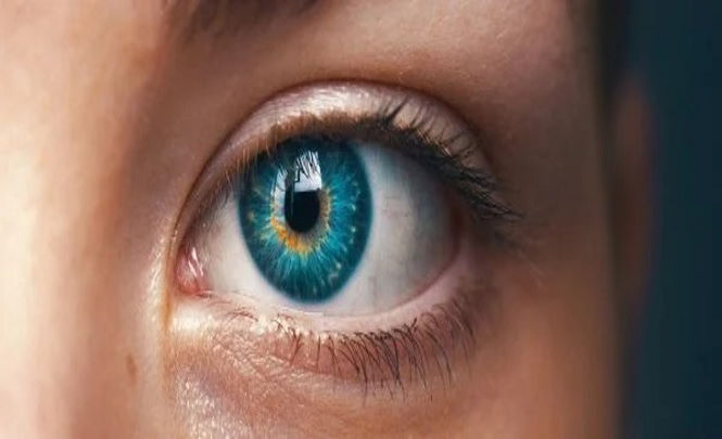 Зрачок вашего глаза может воспринимать числовую информацию, а не только свет