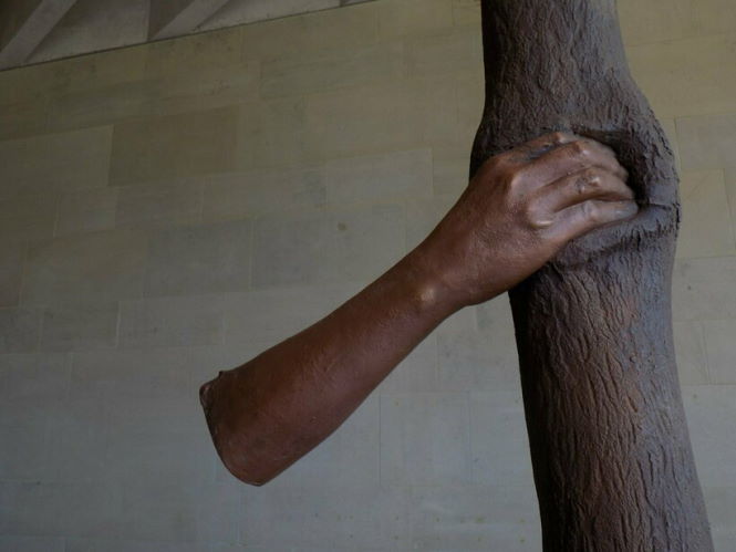 Бронзовая рука, которая сжимает дерево уже 53 года — зачем и откуда она взялась