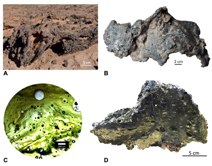 Четыре образца внеземного стекла из пустыни Атакама. Предоставлено: Шульц и др., Геология, 2021 г.