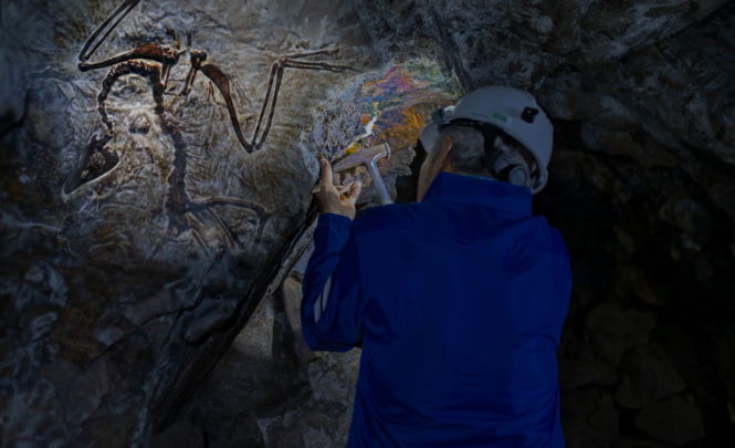 От Кузбасса до США: Самые странные находки шахтёров, обнаруженные под землёй.