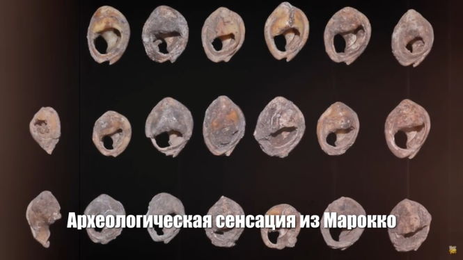 Окаменелый палец возрастом 100 000 000 лет, ароматный аметист и другие находки