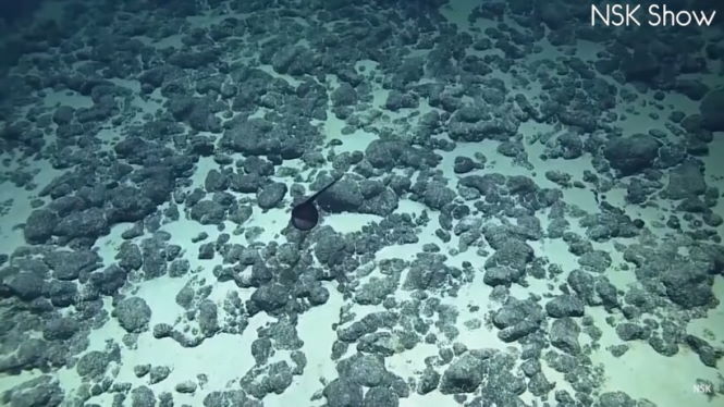 Какими стали самые шокирующие находки глубоководных дайверов.
