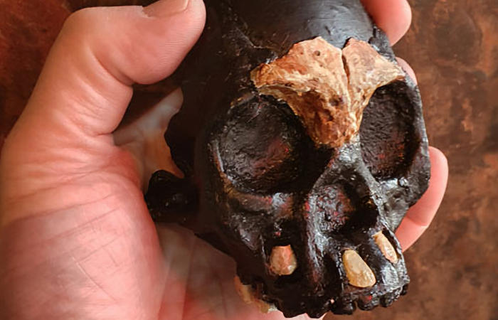 Homo Naledi, дитя тьмы, обнаруженное в системе пещер восходящей звезды