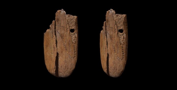 Артефакт возрастом 41 500 лет - самое древнее изящное украшение в мире