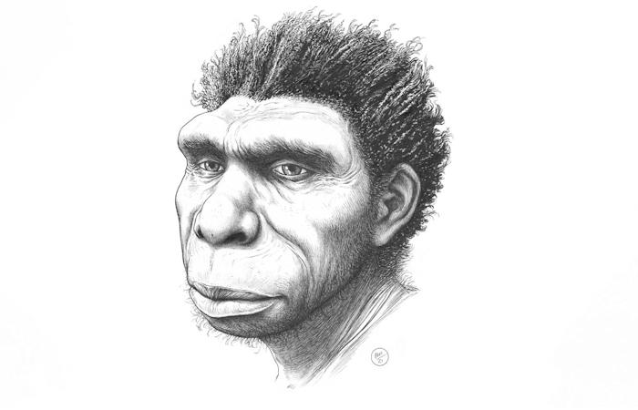 Homo Bodoensis – новый вид человеческих предков, живших полмиллиона лет назад
