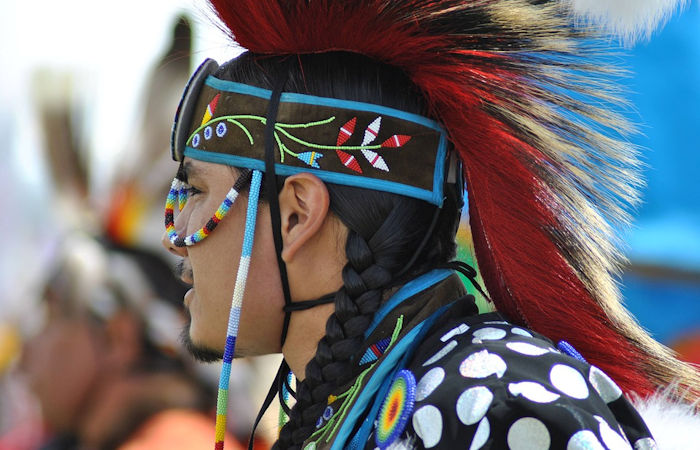Индейское население не происходит из Японии - под сомнение генетика и скелетная биология